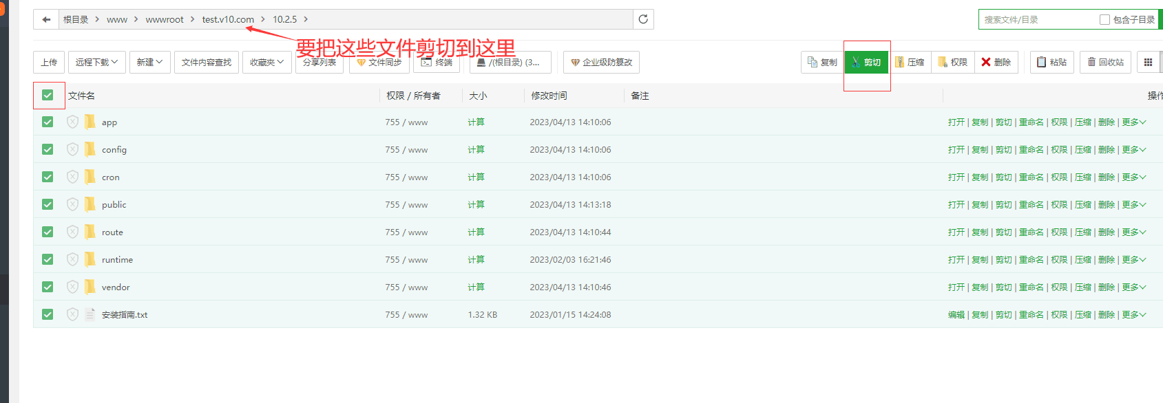 将解压出来的所有文件和文件夹，剪切到网站根目录界面截图