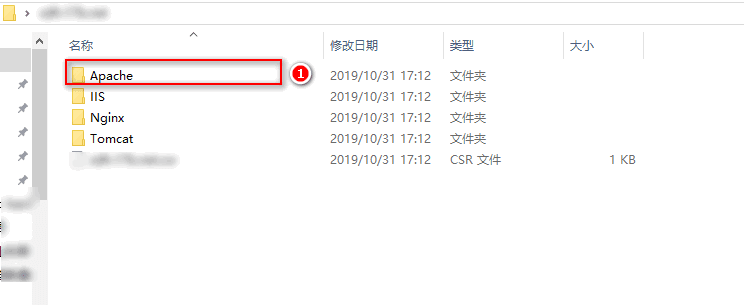 应该选择 Apache 类型界面截图
