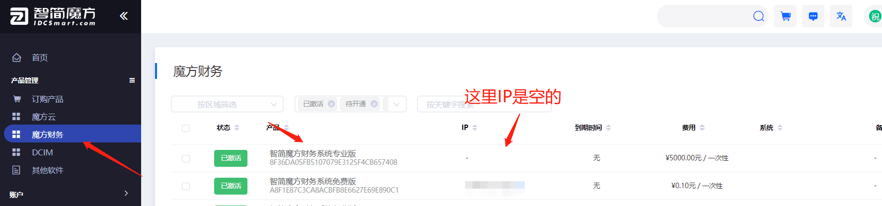 购买完毕之后去我们的控制台查看我们刚购买的专业版界面截图
