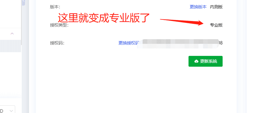我们把我们刚刚购买好的专业版授权码更换上去，就从免费版更换为专业版了界面截图