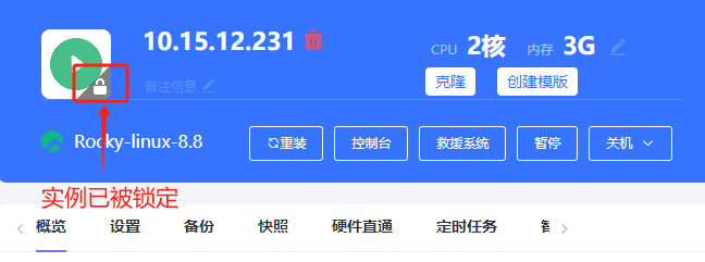 二次确定后，锁定实例界面截图