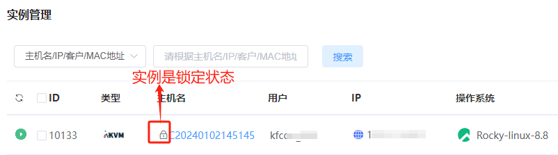 二次确定后，锁定实例界面截图（二）