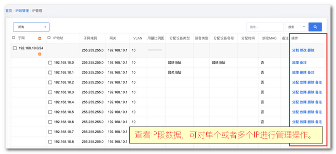 点击查看按钮,可以看到当前 IP 段所有 IP 信息界面截图