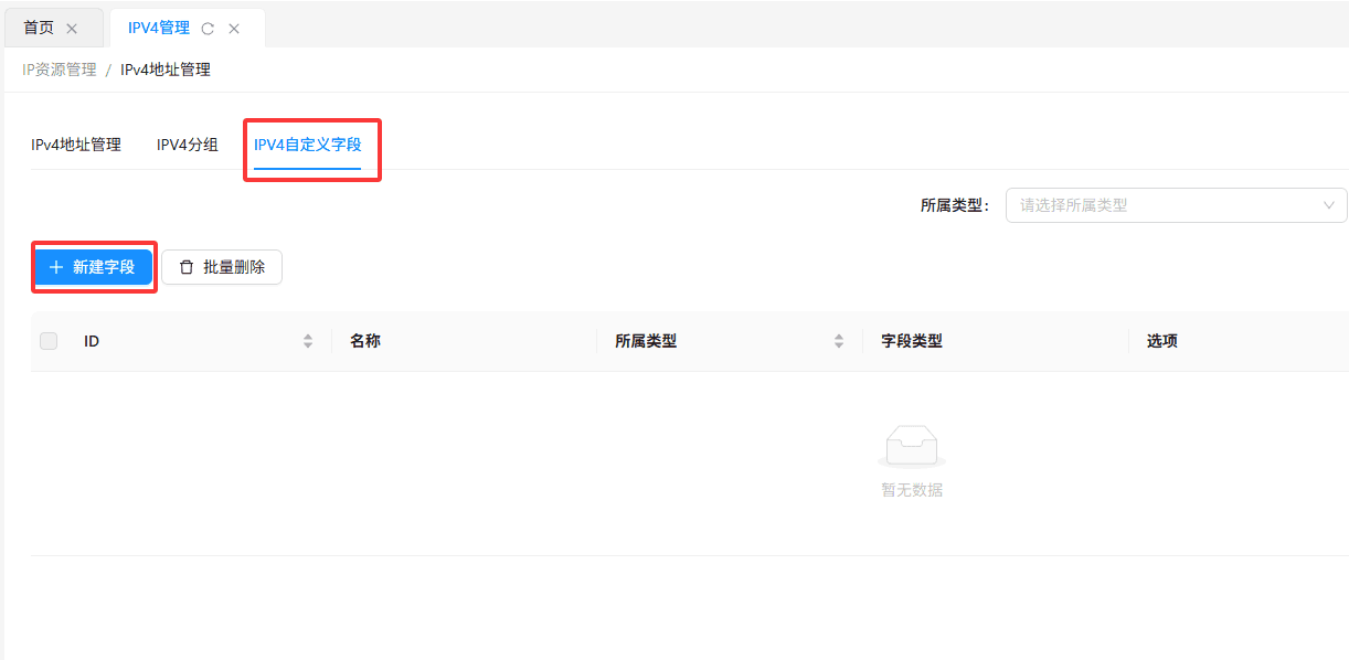 在页面顶部标签栏中，点击 IPv4 自定义字段 标签界面截图