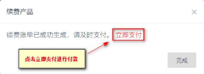 生成账单后,点击立即支付为产品付款处理界面截图