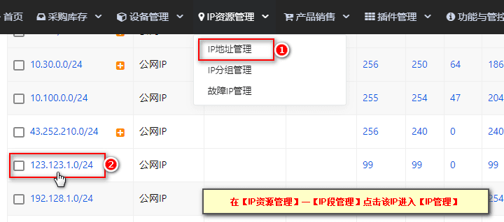在【IP 资源管理】—【IP 段管理】点击该 IP 进入【IP 管理】,界面截图